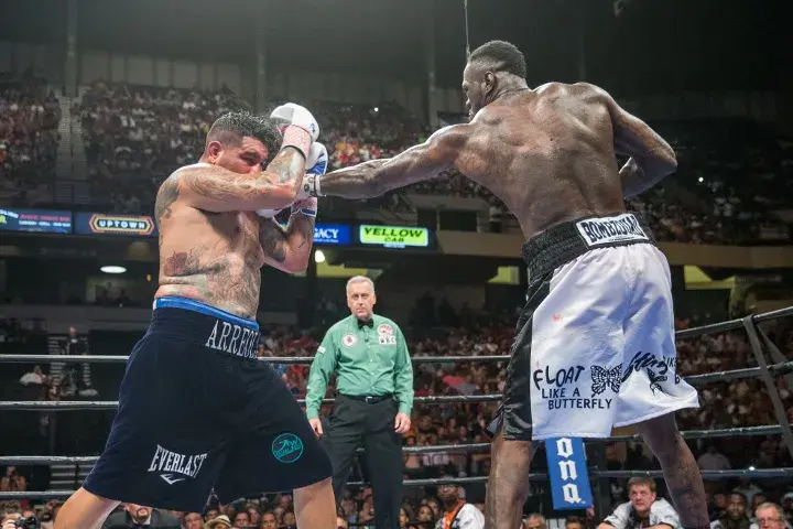 Wilder Arreola Fight