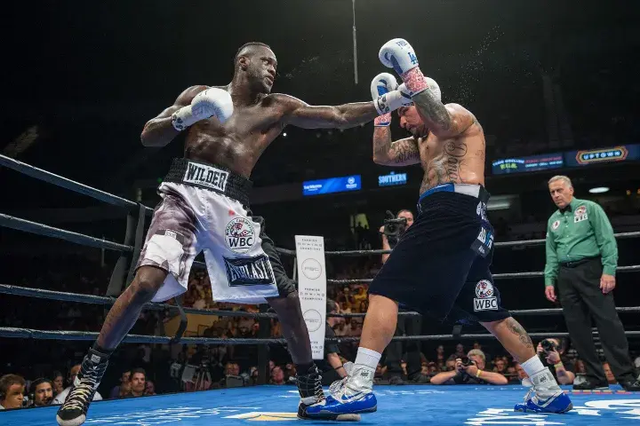 Wilder Arreola Fight