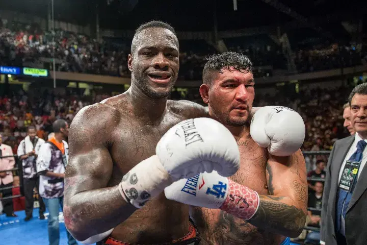 Wilder Arreola Fight