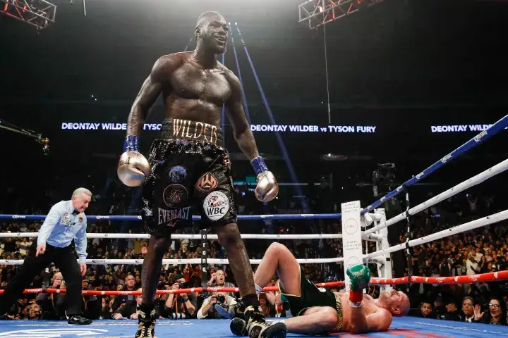 Wilder Fury Fight