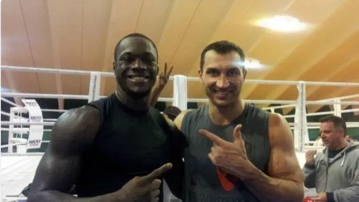 Wilder Klitschko