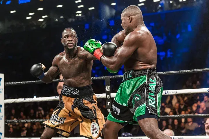 Wilder Ortiz Fight