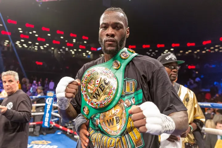 Wilder Stiverne Rematch Rh