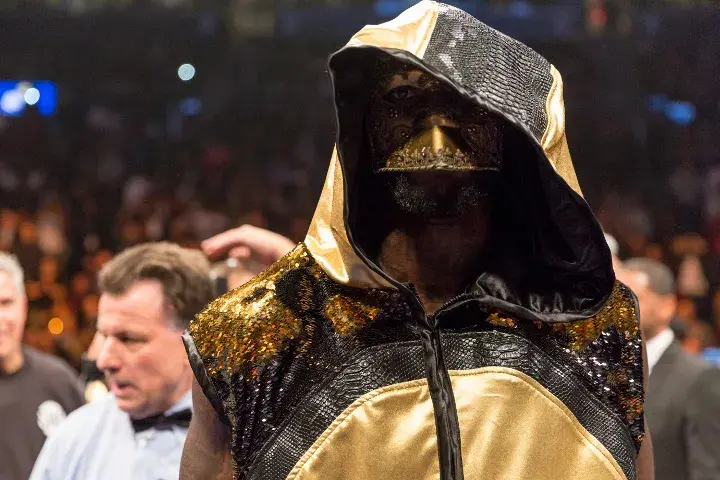 Wilder Stiverne Rematch Rh