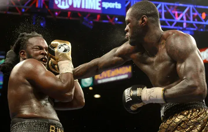 Wilder Stiverne