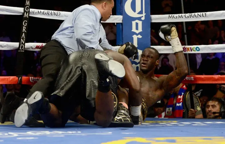 Wilder Stiverne