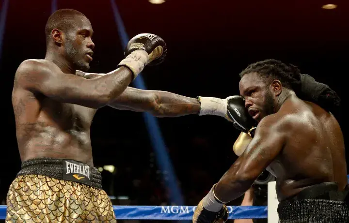 Wilder Stiverne