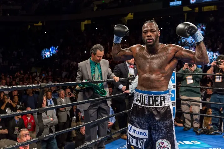 Wilder Washington Fight