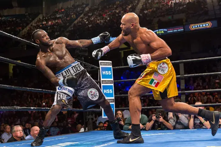 Wilder Washington Fight