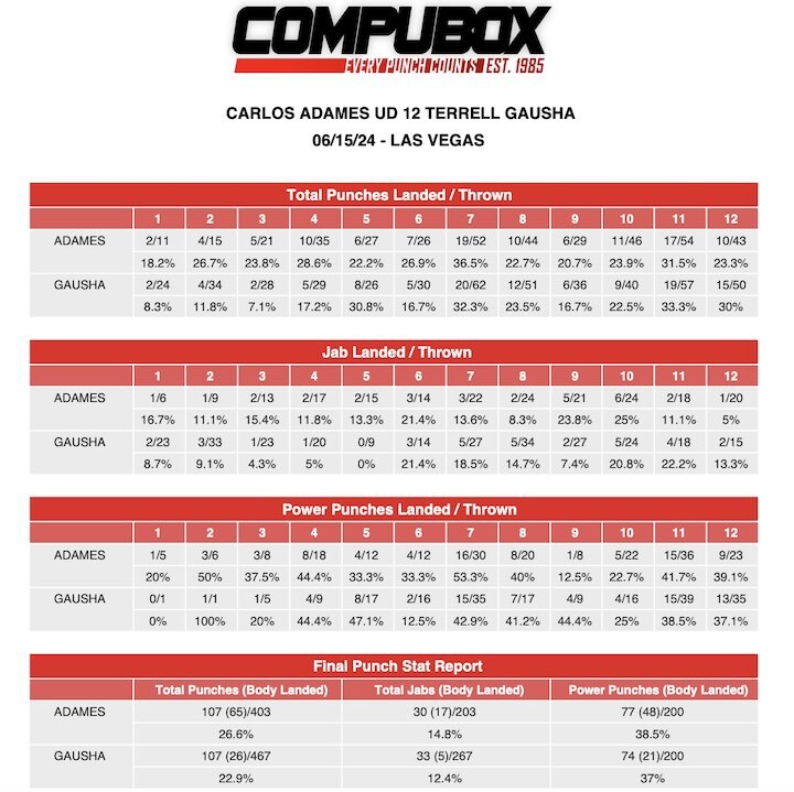 Compubox Punch Stats: Carlos Adames-Terrell Gausha