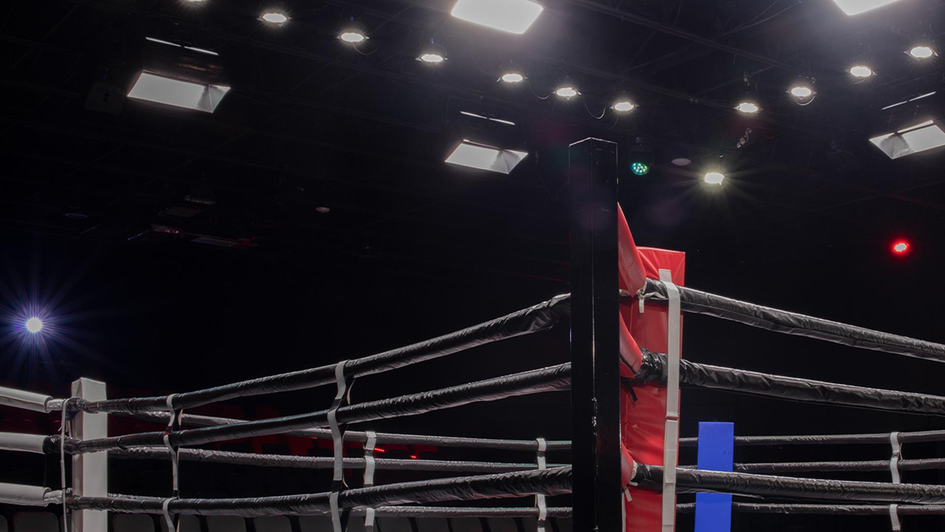 Naoya Inoue Vs. Nonito Donaire