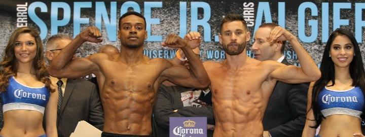 Spence Algieri Scorecard