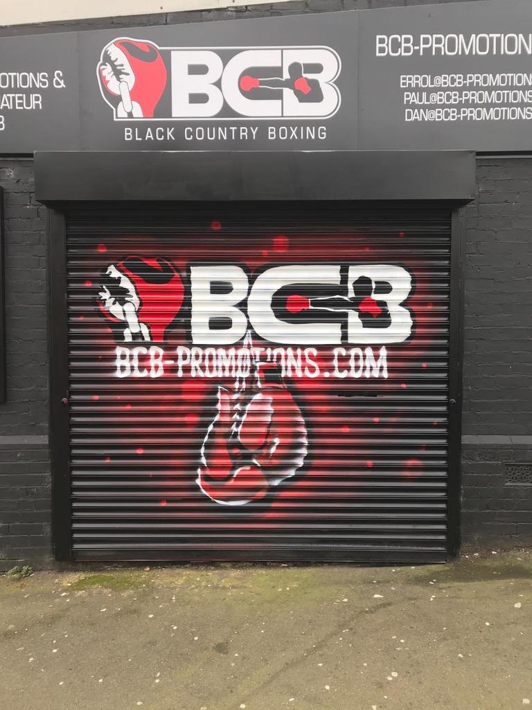 Errol Johnson BCB Boxing