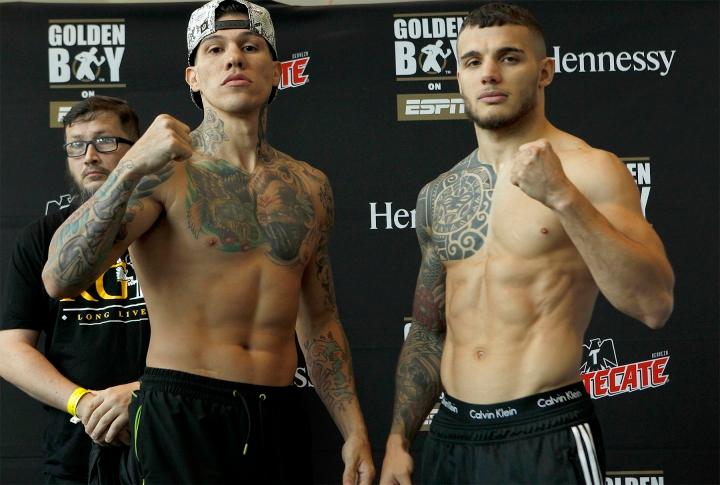 Rosado Tapia Weights