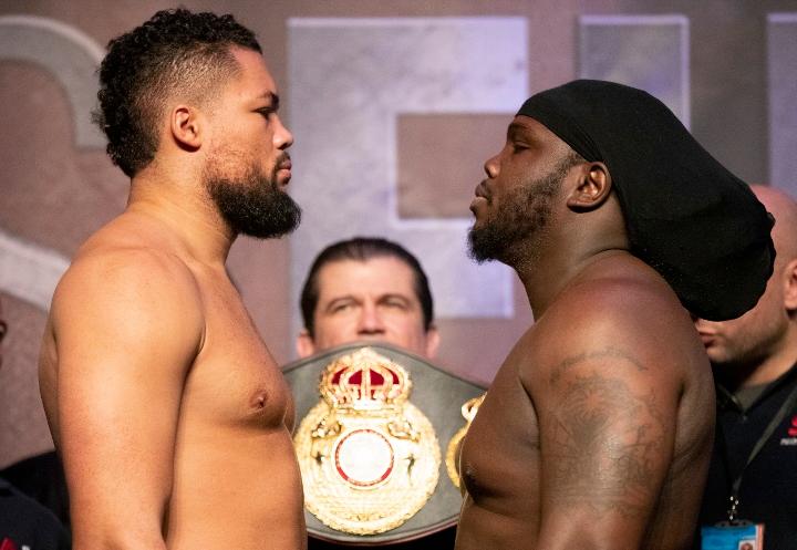 Joyce Stiverne Weights