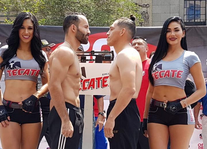 Alvarez Paez Weights