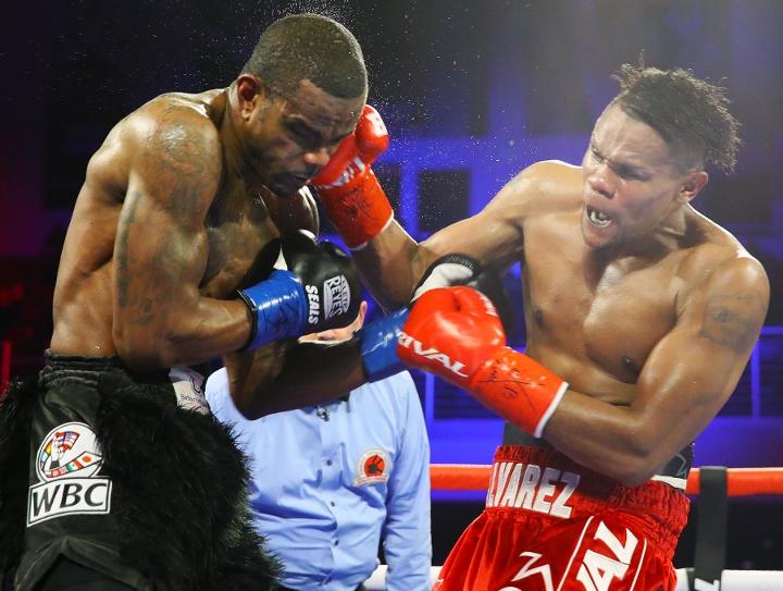 Alvarez Seals Fight