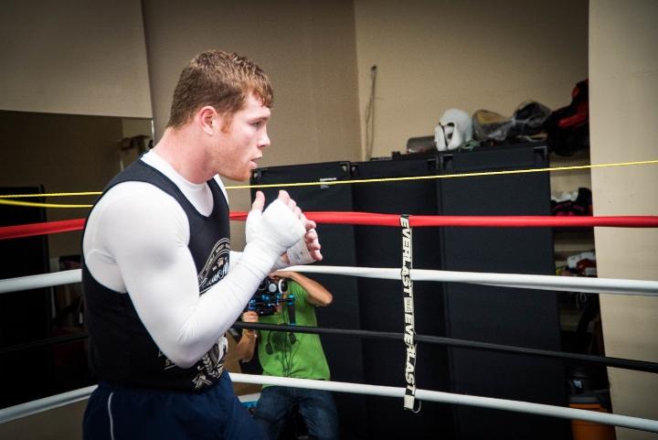 Canelo Alvarez