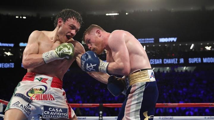 Canelo Chavez Weights Jpeg