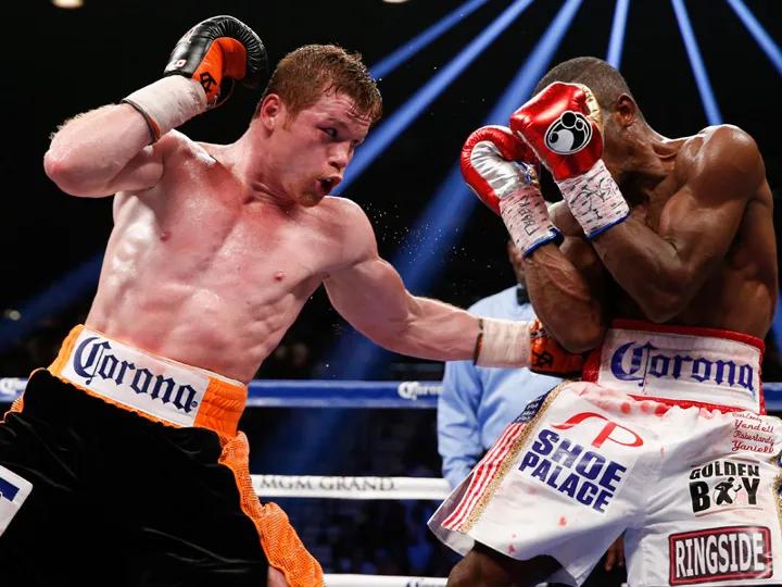 Canelo Lara Fight