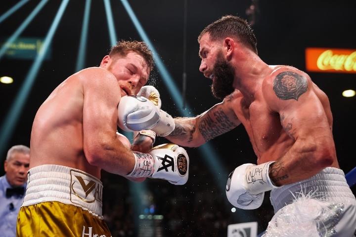 Canelo Plant Fight