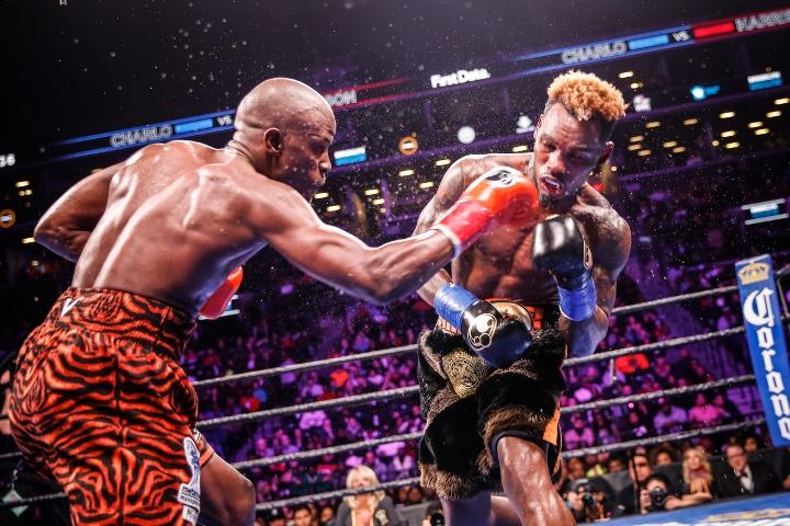 Charlo Harrison Fight
