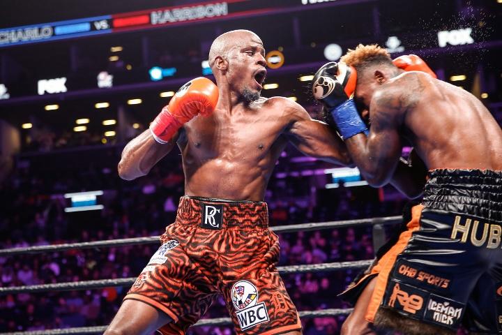 Charlo Harrison Fight