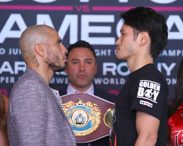 Cotto Kamegai