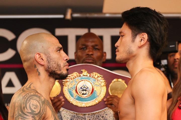 Cotto Kamegai Weights