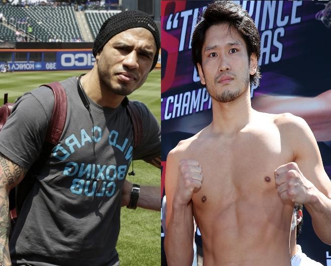 Cotto Kamegai