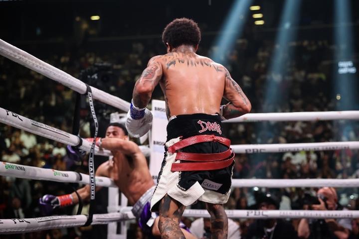 Davis Romero Fight