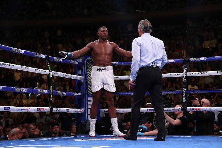 Joshua Andy Ruiz Fight