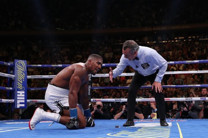 Joshua Andy Ruiz Fight