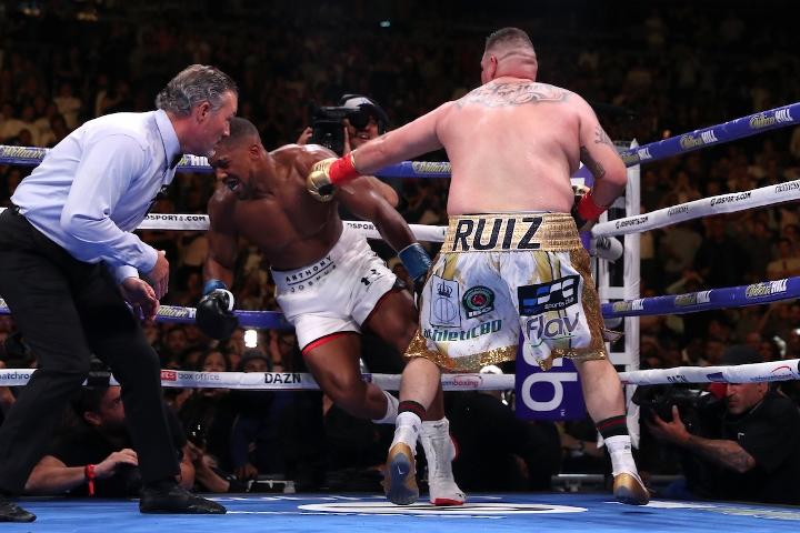 Joshua Andy Ruiz Fight