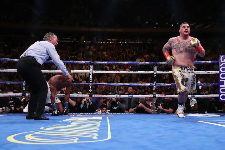 Joshua Andy Ruiz Fight