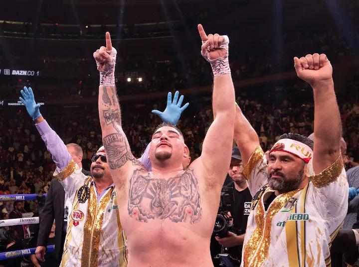 Joshua Andy Ruiz Fight