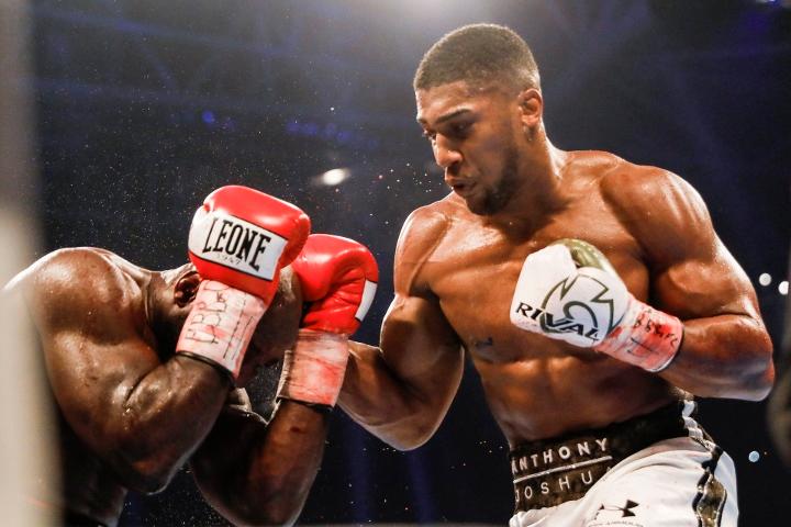 Joshua Takam Fight
