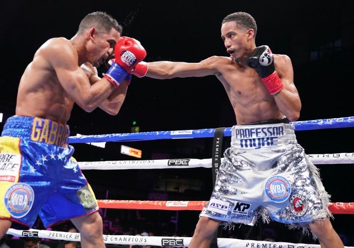 Maestre Fox Fight