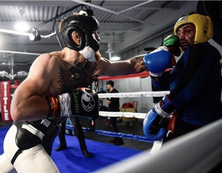 Mcgregor Malignaggi Sparring