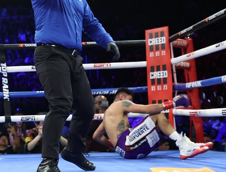 Navarrete Wilson Fight
