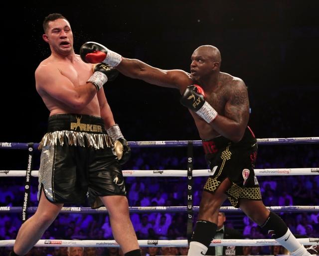 Parker Whyte Fight