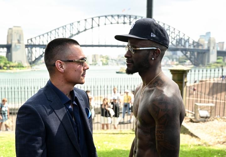 Tszyu Harrison