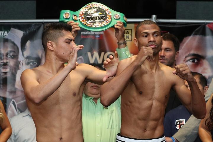 Vargas Dulorme Weights