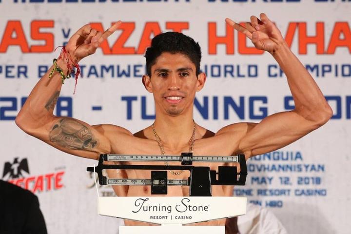 Vargas Hovhannisyan Weights