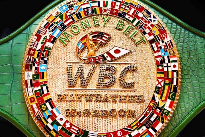 Wbc Money Belt