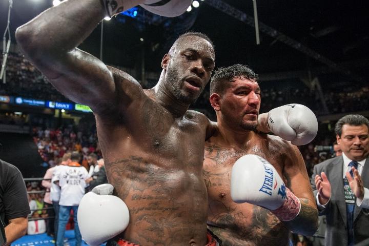 Wilder Arreola Fight