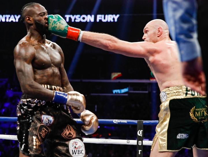 Wilder Fury Fight
