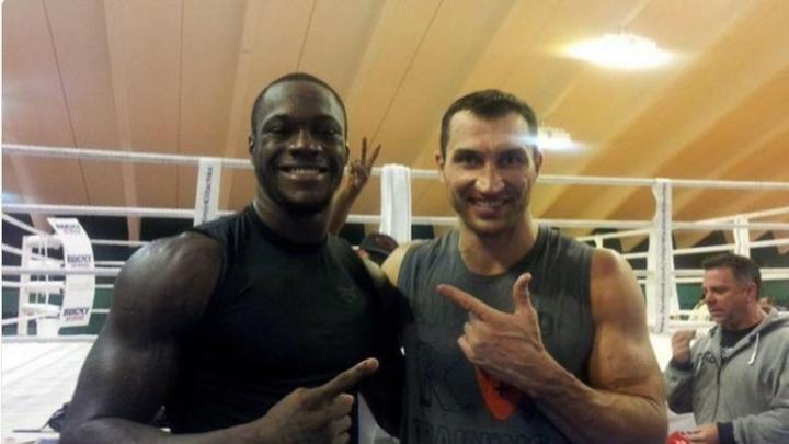 Wilder Klitschko