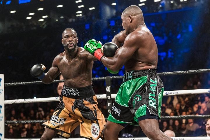Wilder Ortiz Fight