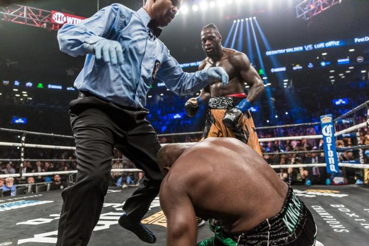 Wilder Ortiz Fight